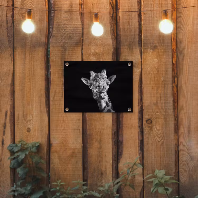 Tuinposter - Giraffe - Dier - Zwart - Wit — 2