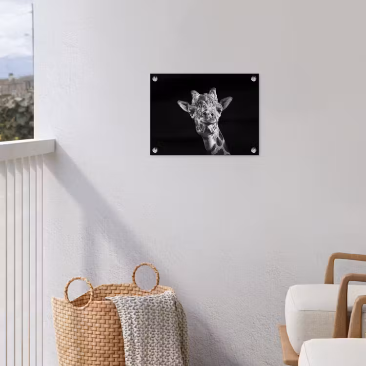 Tuinposter - Giraffe - Dier - Zwart - Wit — 3