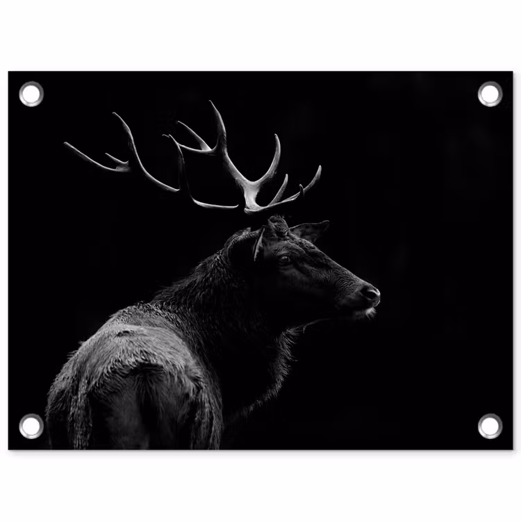Tuinposter - Hert - Zwart - Portret - Gewei - Dieren — 1