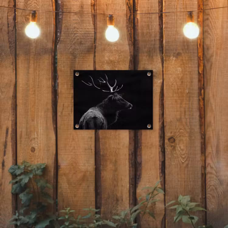 Tuinposter - Hert - Zwart - Portret - Gewei - Dieren — 2