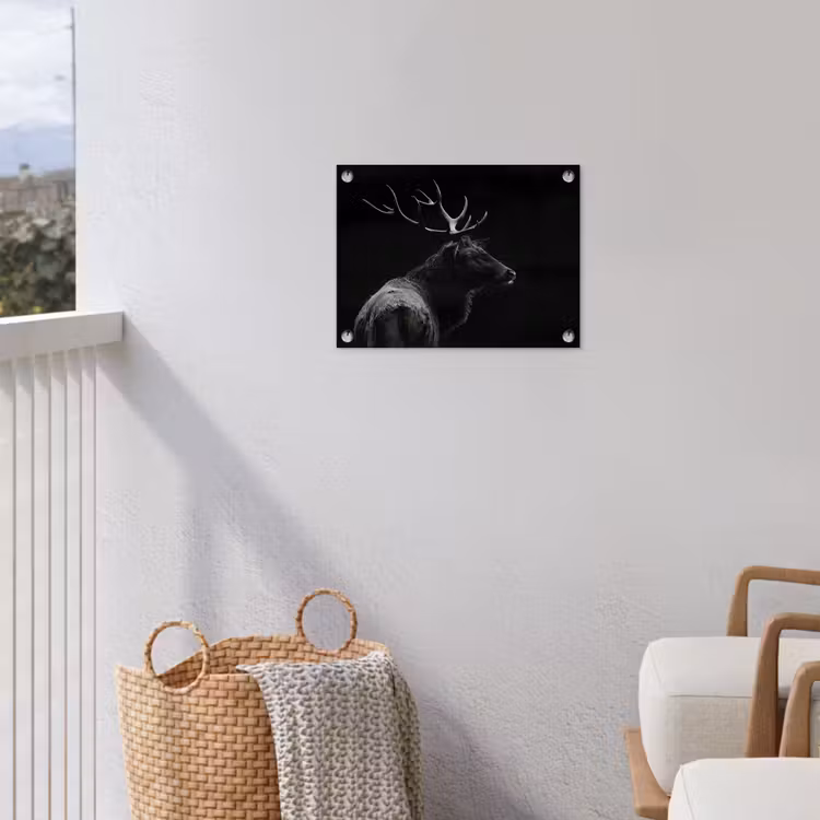 Tuinposter - Hert - Zwart - Portret - Gewei - Dieren — 3