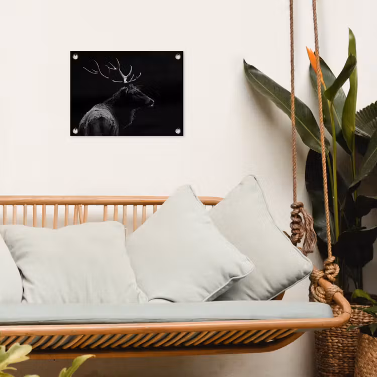 Tuinposter - Hert - Zwart - Portret - Gewei - Dieren — 5
