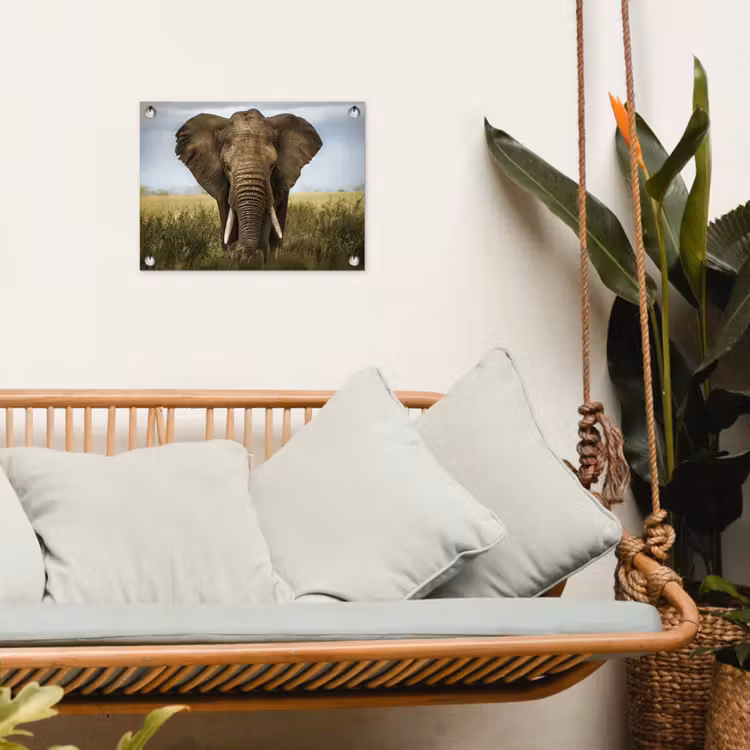 Tuinposter - Olifant in de savanne — 5