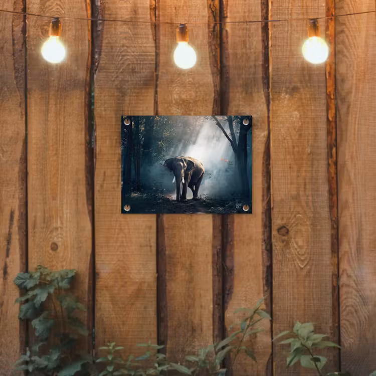 Tuinposter - Olifant in mystiek bos — 2