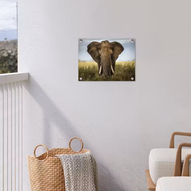 Tuinposter - Olifant - Natuur - Gras - Dieren - Landschap — 3