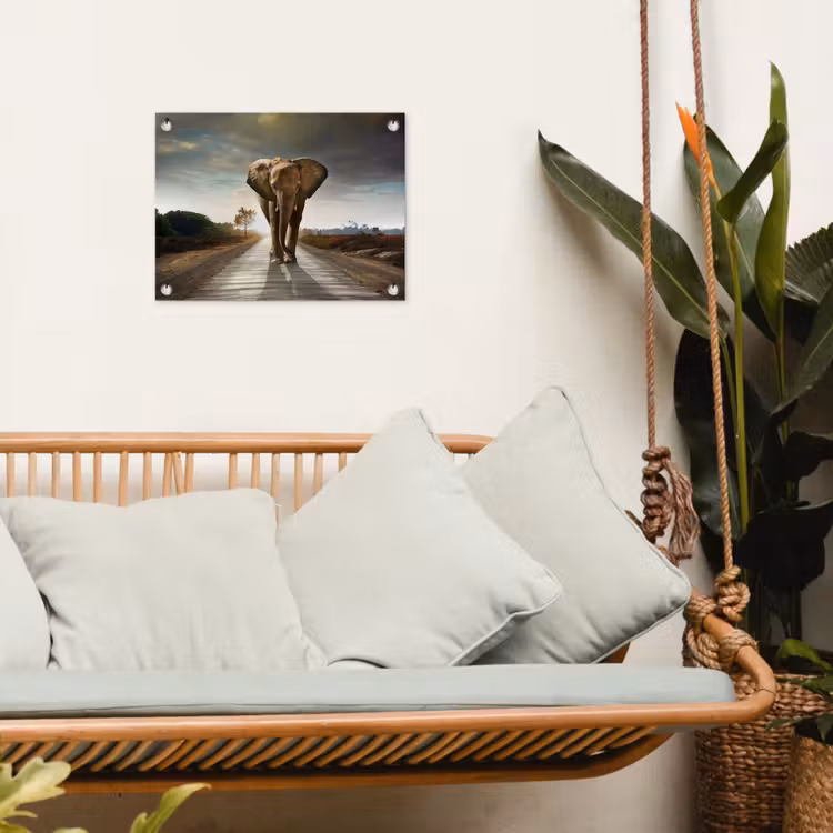 Tuinposter - Olifant op een verlaten weg — 5