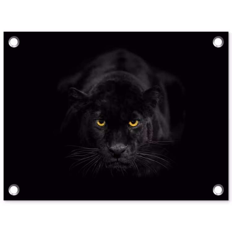 Tuinposter - Panter - Dieren - Zwart - Ogen — 1