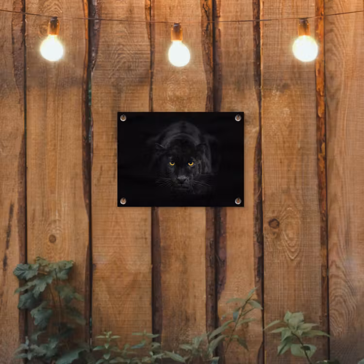 Tuinposter - Panter - Dieren - Zwart - Ogen — 2