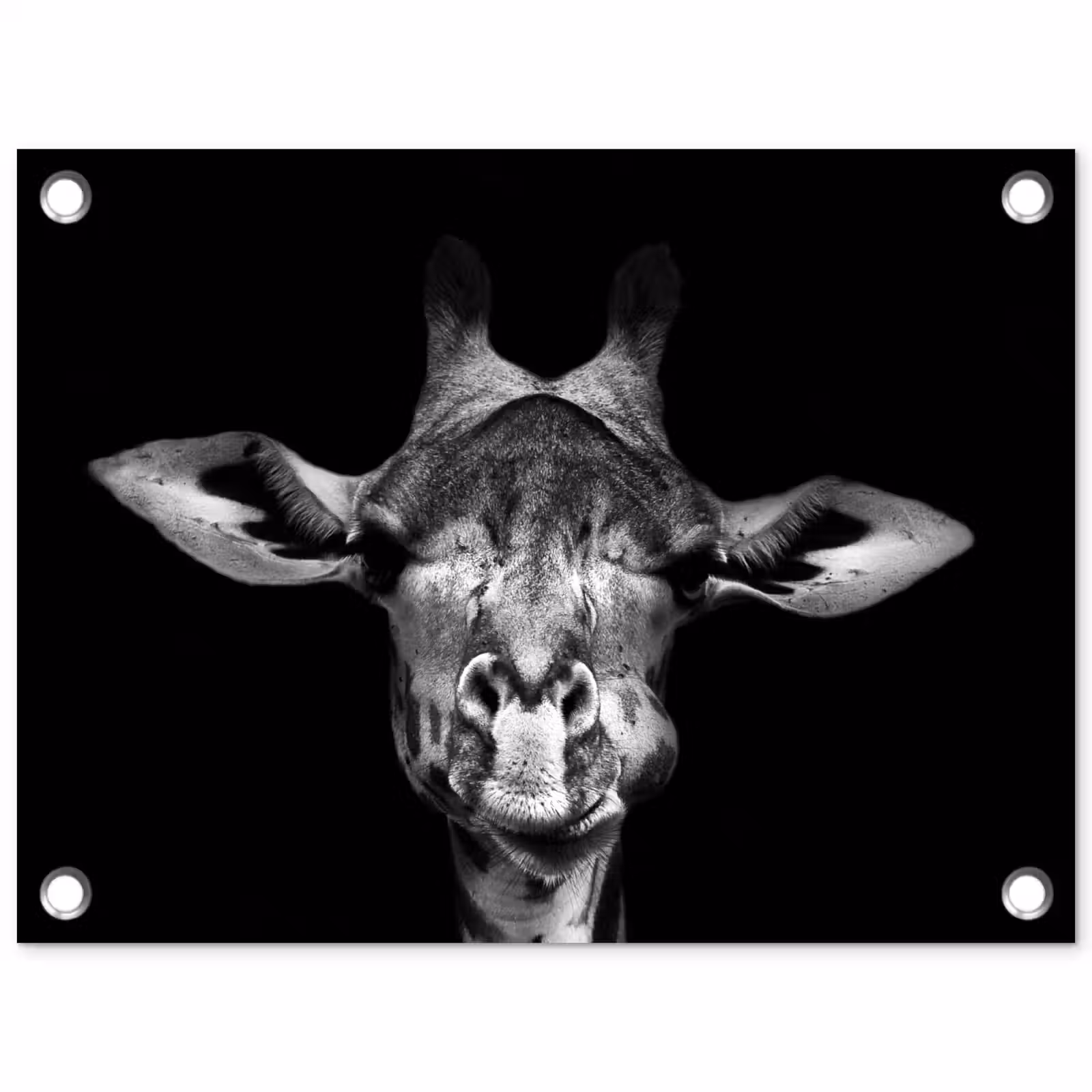 Tuinposter - Giraffe portret in zwart-wit — 1