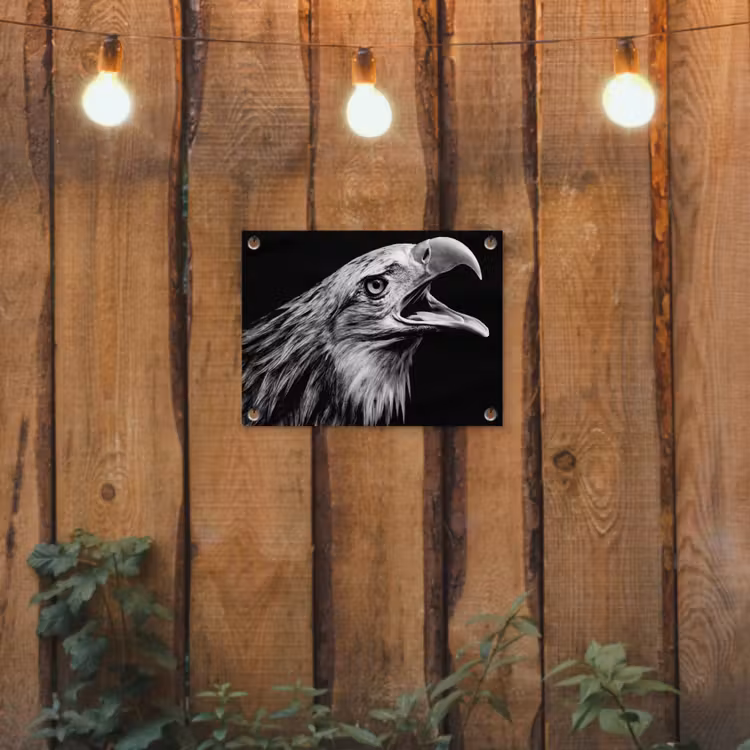 Tuinposter - Adelaar - Portret - Roofvogels - Zwart - Wit - Vogel — 2