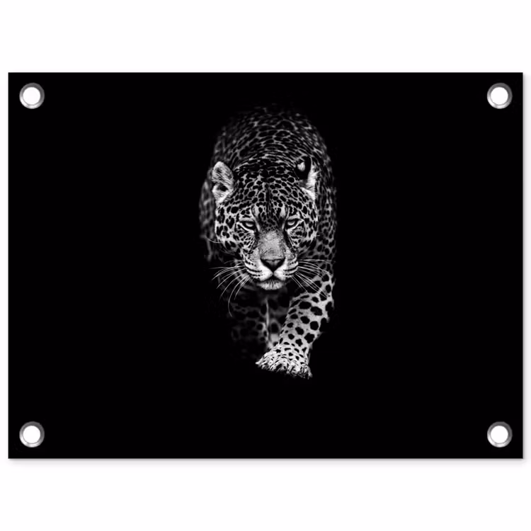 Tuinposter - Dieren - Zwart - Luipaard - Wit - Wild — 1