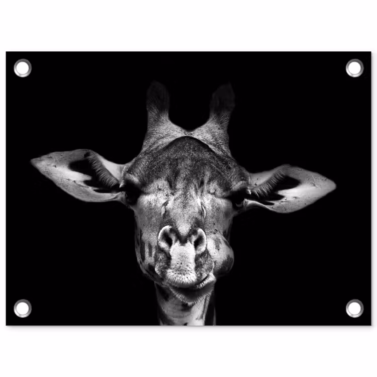Tuinposter - Giraffe portret in zwart-wit — 1