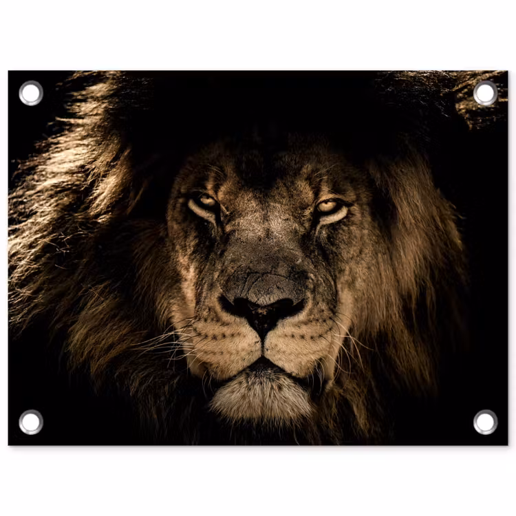 Tuinposter - Leeuw - Dieren - Zwart - Portret — 1