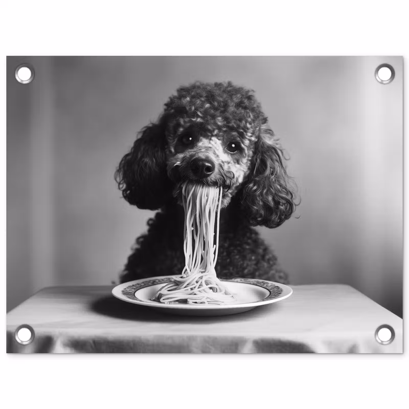 Tuinposter - Poedel - Hond - Zwart - Wit - Schattig - Pasta — 1