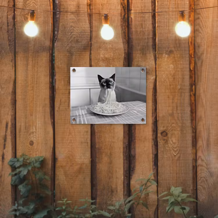 Tuinposter - Kat - Siamees - Zwart Wit - Schattig - Dieren — 2