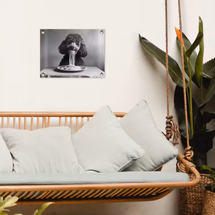 Tuinposter - Poedel - Hond - Zwart - Wit - Schattig - Pasta — 5
