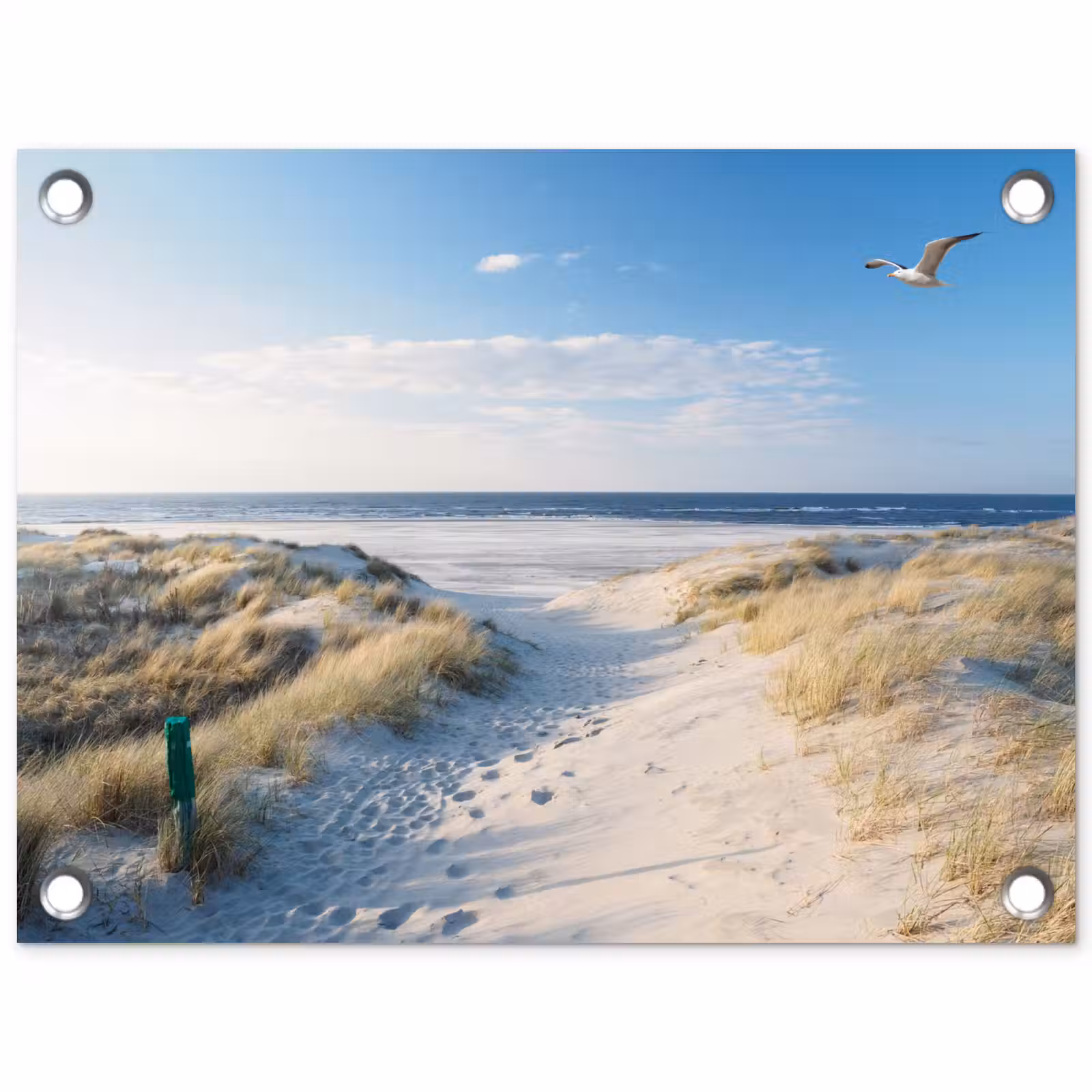 Tuinposter - Duin - Meeuw - Strand - Zee - Zon — 1