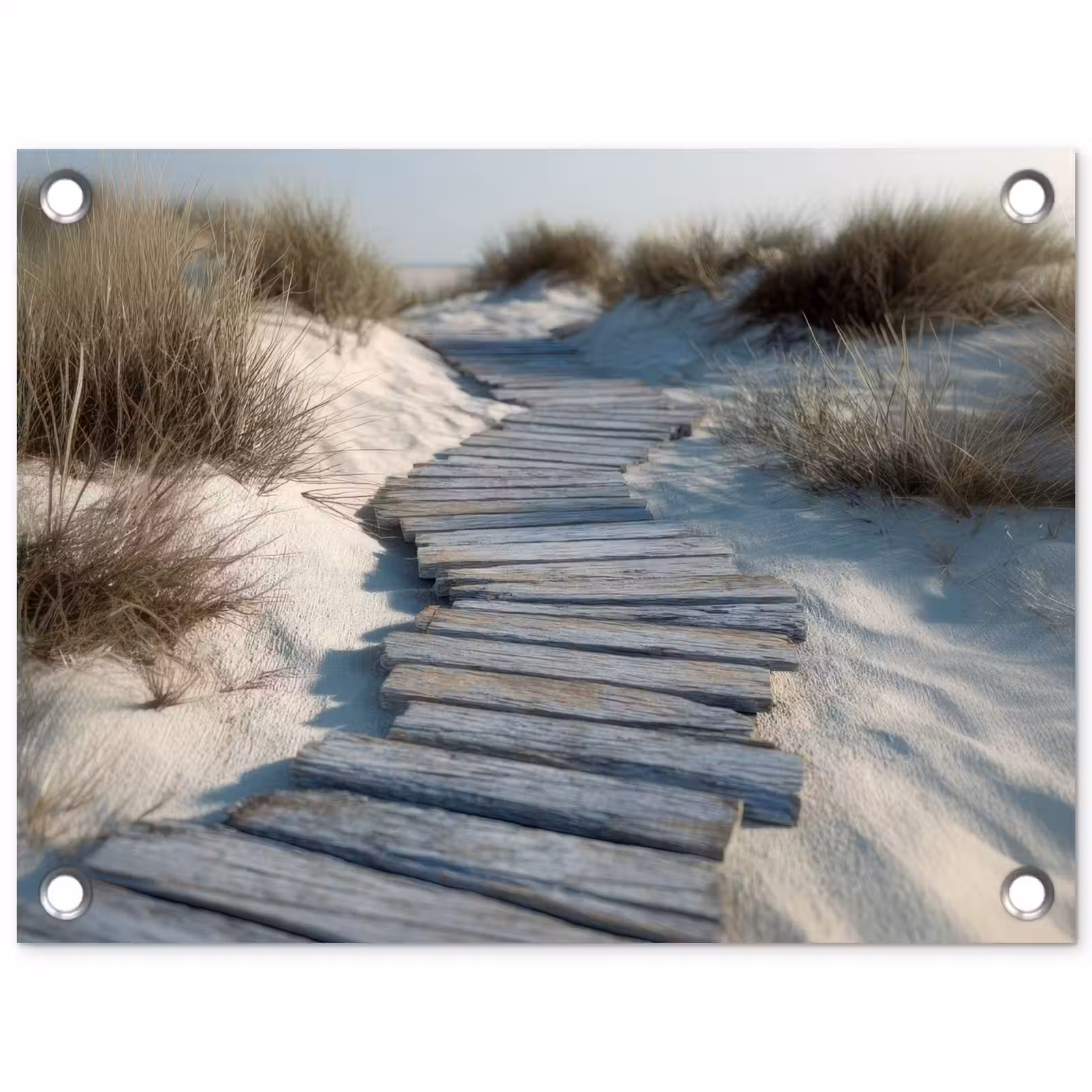 Tuinposter - Pad - Planken - Duinen - Gras — 1