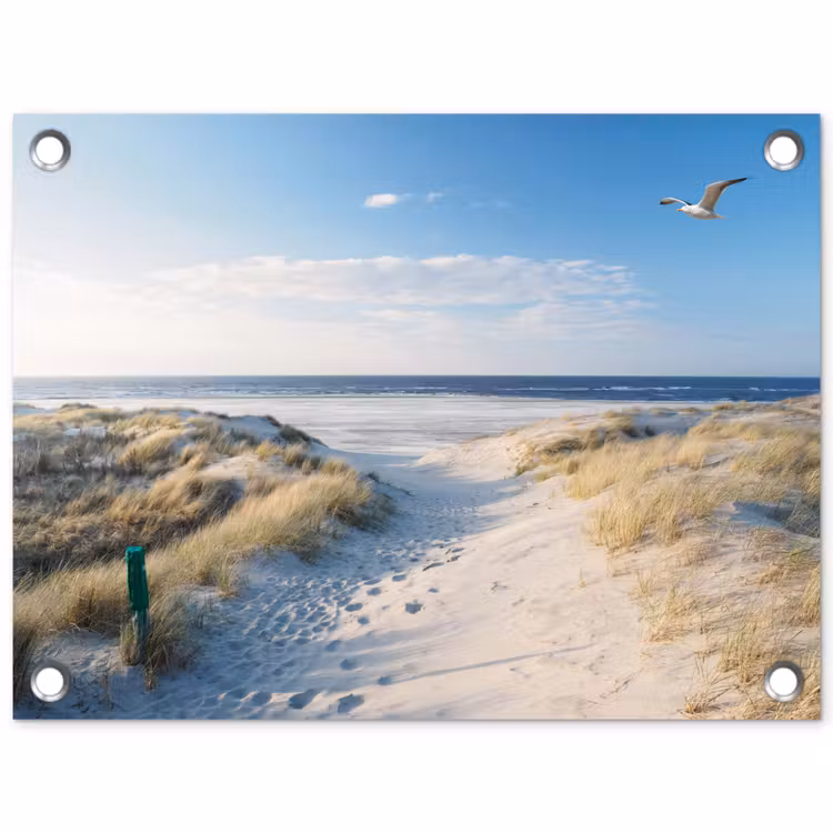 Tuinposter - Duin - Meeuw - Strand - Zee - Zon — 1