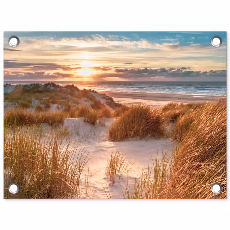 Tuinposter - Duin - Planten - Zonsondergang - Strand - Zee — 1