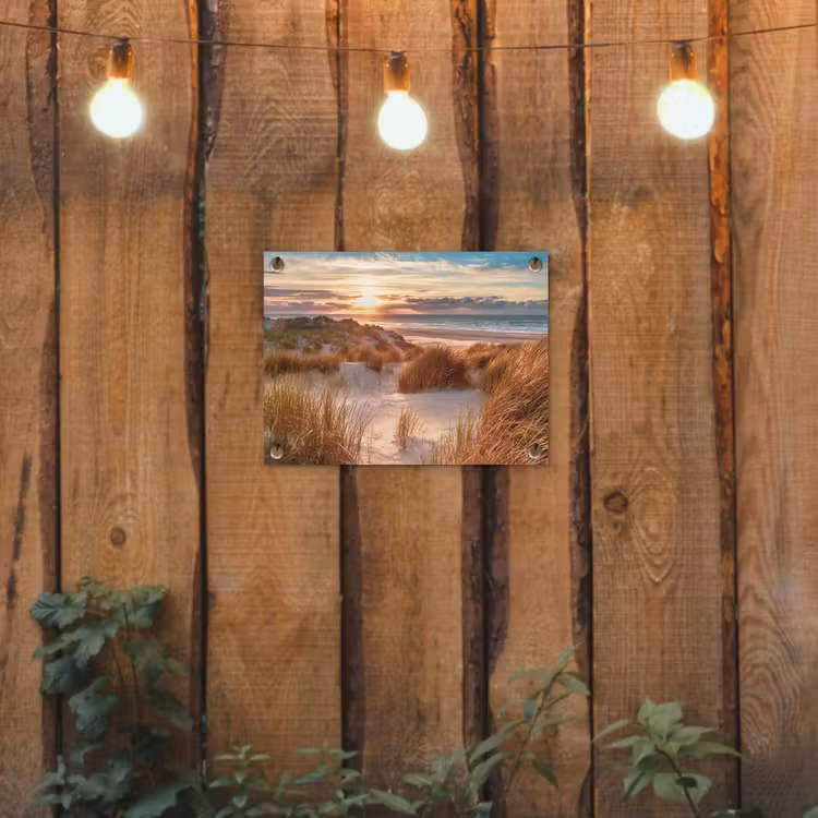 Tuinposter - Duin - Planten - Zonsondergang - Strand - Zee — 2