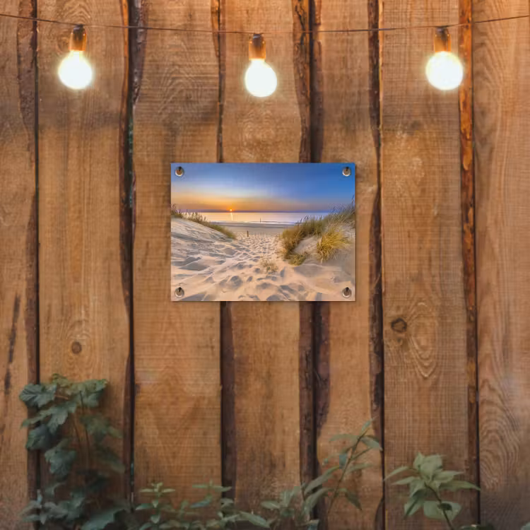 Tuinposter - Duin - Zonsondergang - Horizon - Strand - Gras — 2