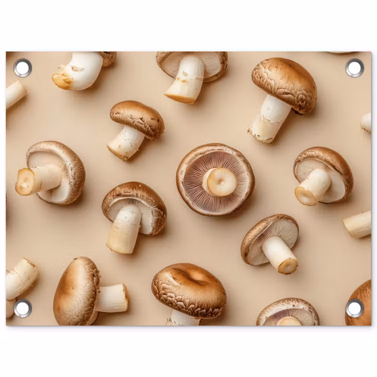 Tuinposter - Kastanje Champignons - Beige — 1