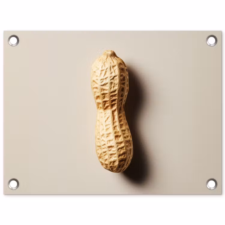 Tuinposter - Pinda - Ruw - Beige — 1