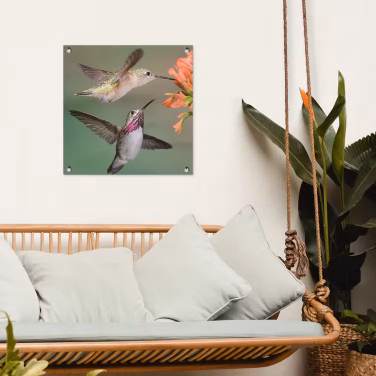 Tuinposter - Kolibries bij Bloemen — 5