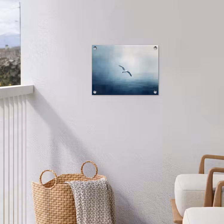 Tuinposter - Meeuw - Wit - Zee - Mistig — 3