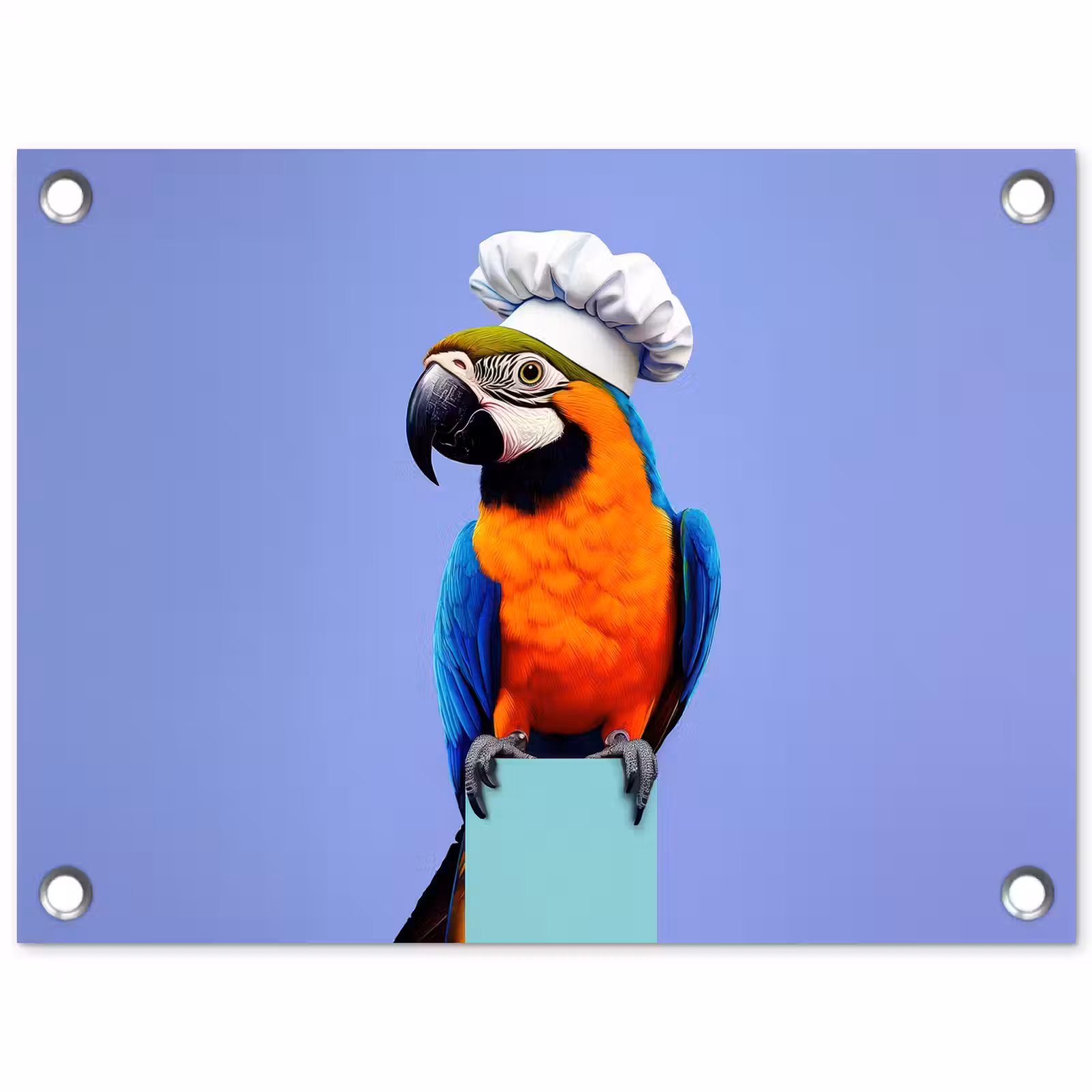 Tuinposter - Papegaai - Koksmuts - Vogel - Leuk — 1