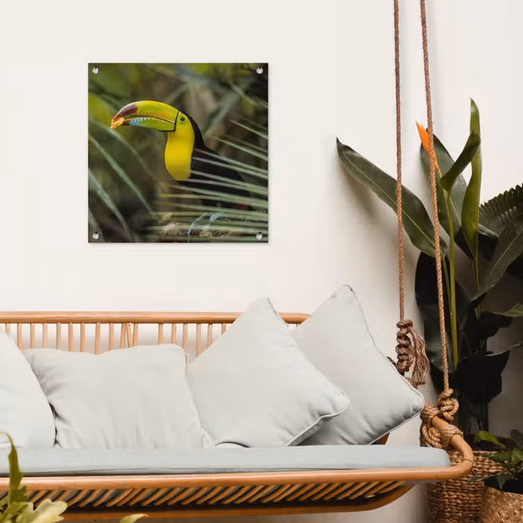 Tuinposter - Close-up van een etende toekan — 5