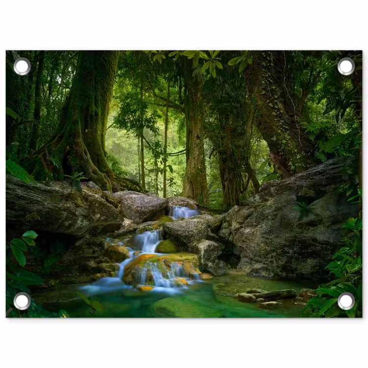 Tuinposter - Jungle - Stenen - Water - Natuur - Planten — 1