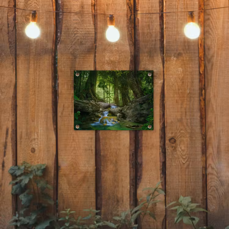 Tuinposter - Jungle - Stenen - Water - Natuur - Planten — 2