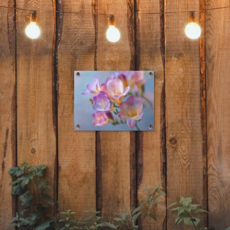 Tuinposter - Bloemen - Paars - Overloop - Meeldraden — 2