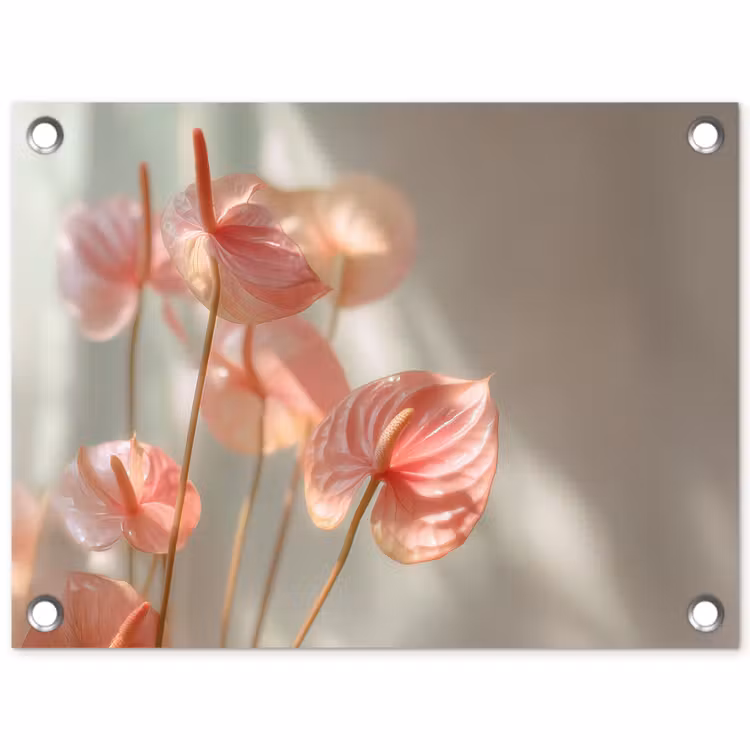 Tuinposter - Bloemen - Stelen - Roze - Schaduw — 1