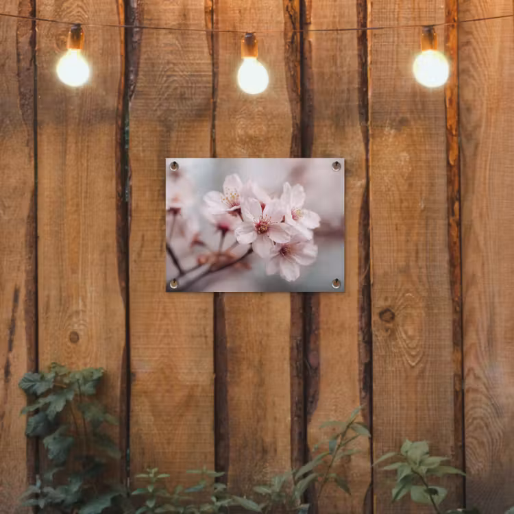 Tuinposter - Bloesems - Meeldraden - Geel - Wazig — 2