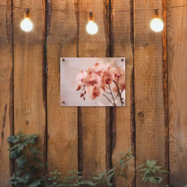 Tuinposter - Orchidee - Bloemen - Roze - Bloemblaadjes — 2