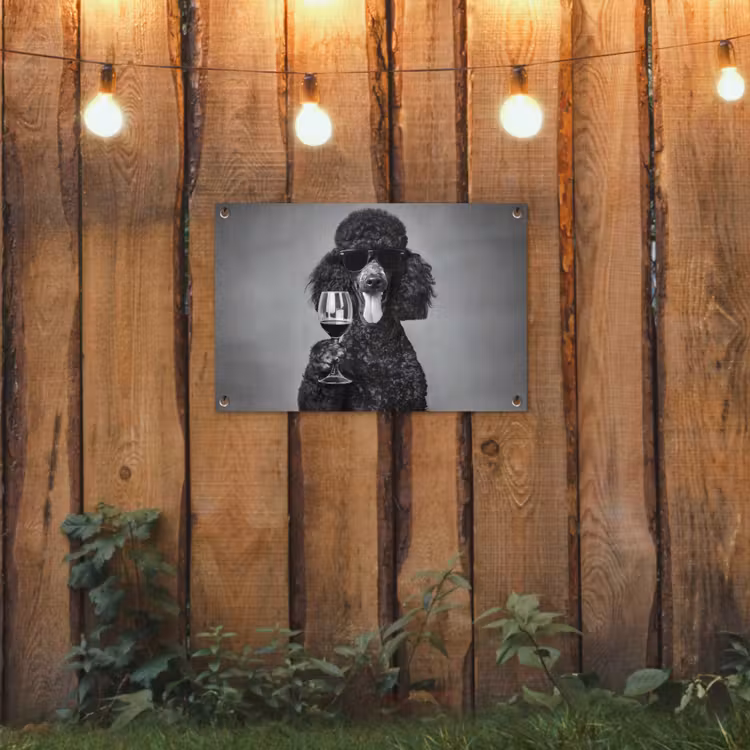 Tuinposter - Hond - Krullen - Zonnebril - Wijn — 2
