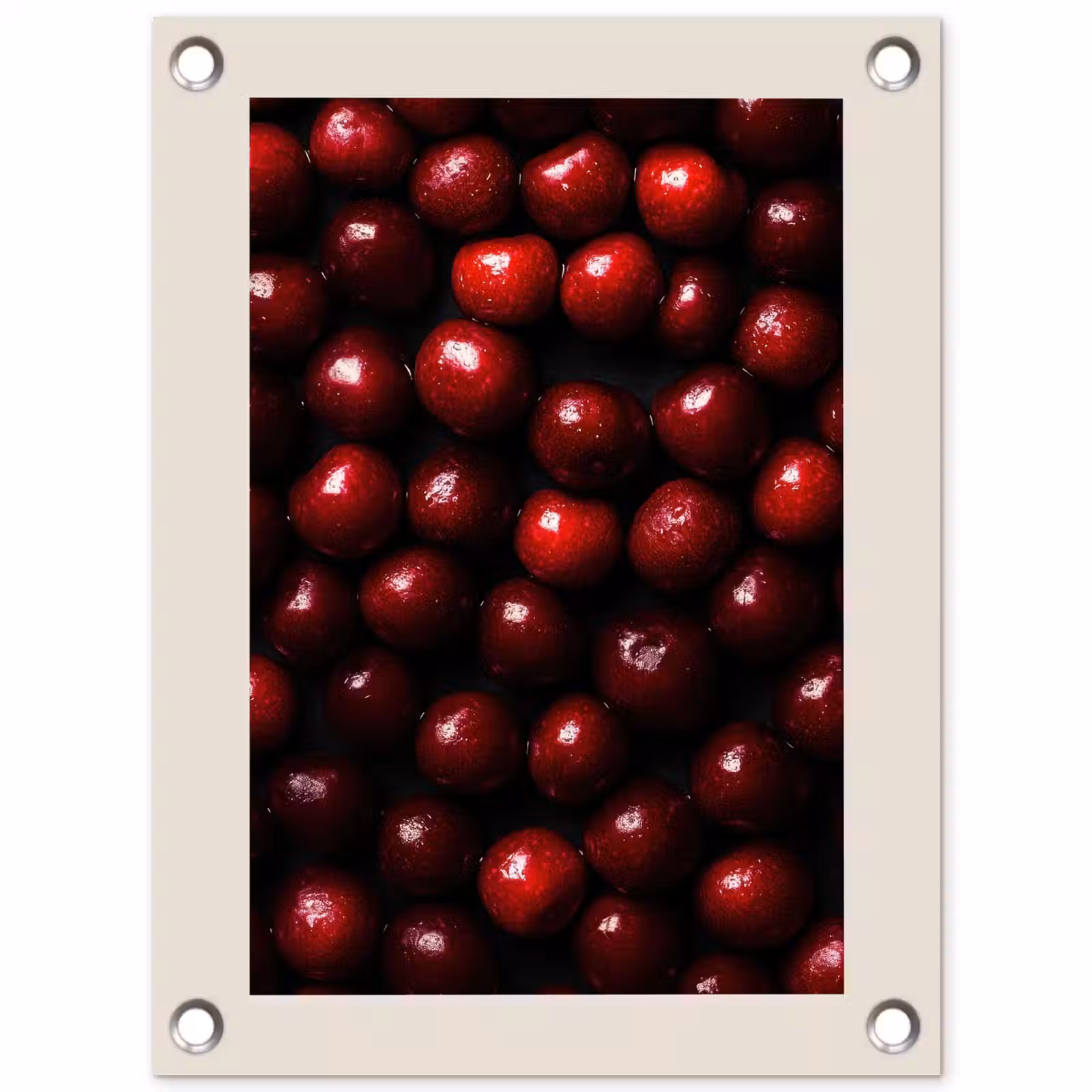 Tuinposter - Kersen - Rood — 1