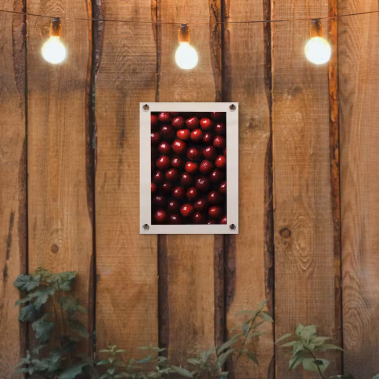 Tuinposter - Kersen - Rood — 2