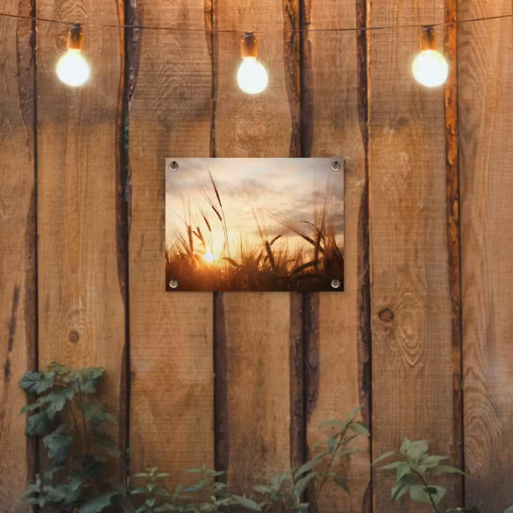 Tuinposter - Gouden Graanveld bij Zonsopgang — 2