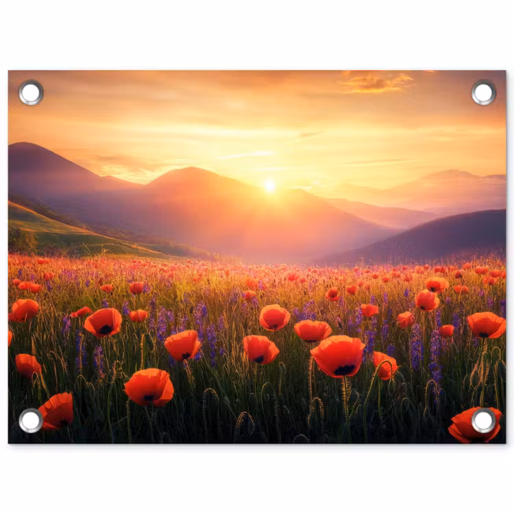 Tuinposter - Landschap - Zonsondergang - Bloemenveld — 1