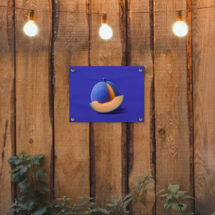 Tuinposter - Meloen - Blauw - Oranje - Kunstzinnig — 2