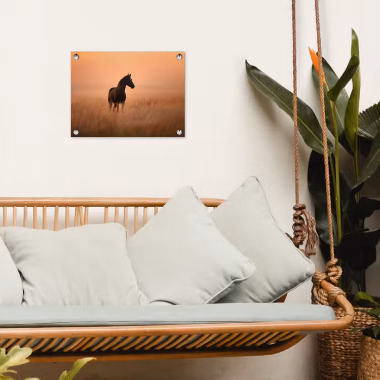 Tuinposter - Paard - Grasveld - Zonsondergang — 5