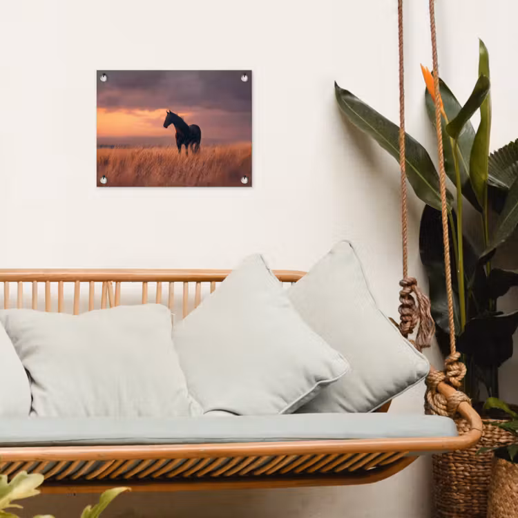 Tuinposter - Paard - Wolken - Open veld — 5