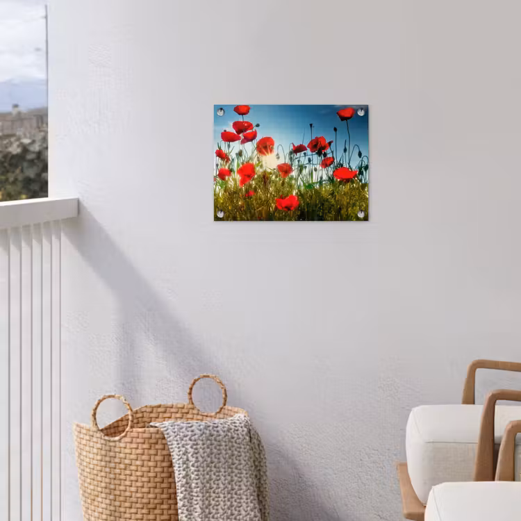 Tuinposter - Klaprozen - Toscane - Zon - Rood - Blauw — 3