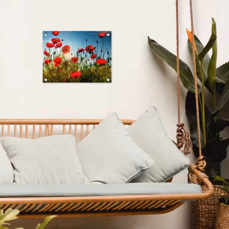 Tuinposter - Klaprozen - Toscane - Zon - Rood - Blauw — 5