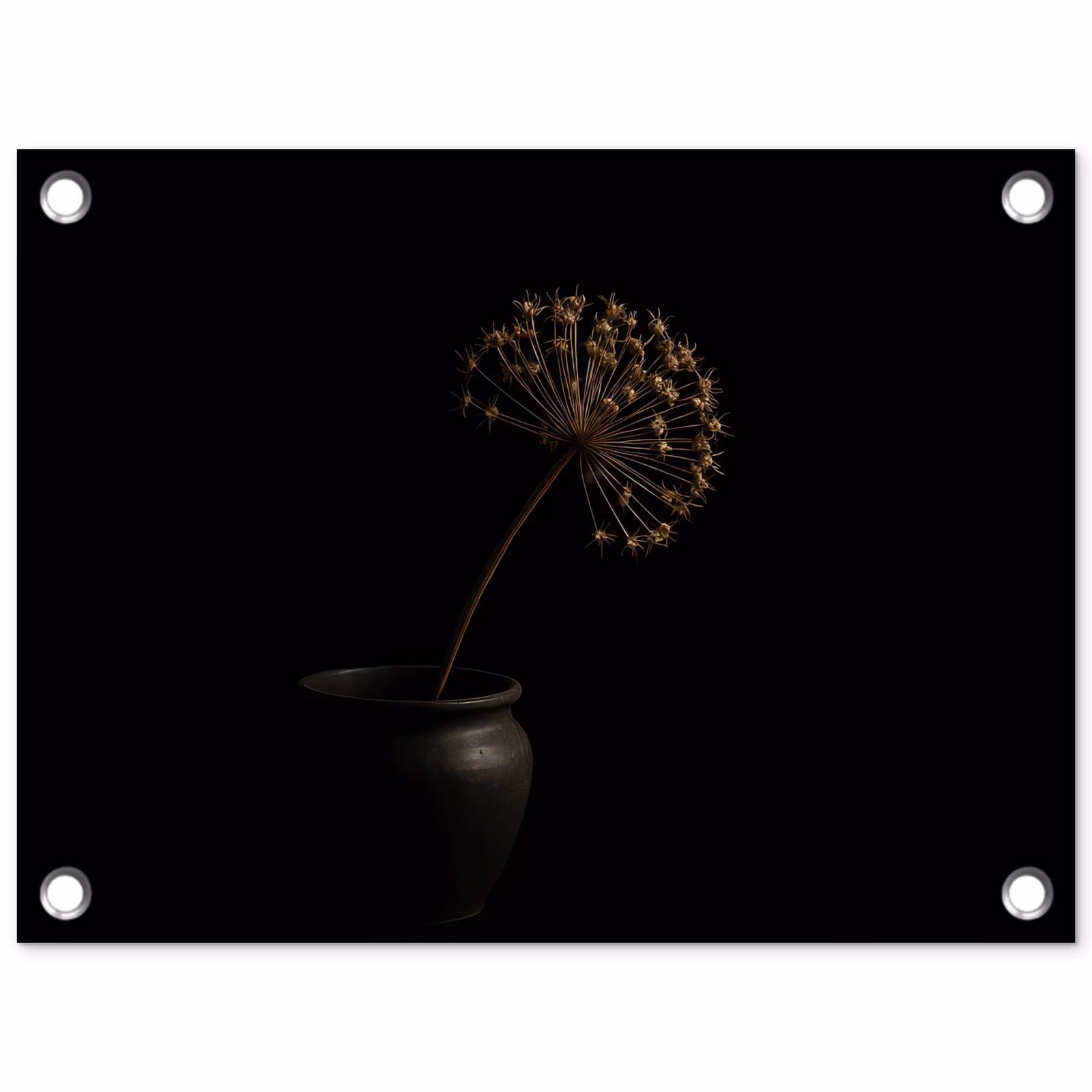 Tuinposter - Bol - Gedroogd - Vaas - Zwart — 1