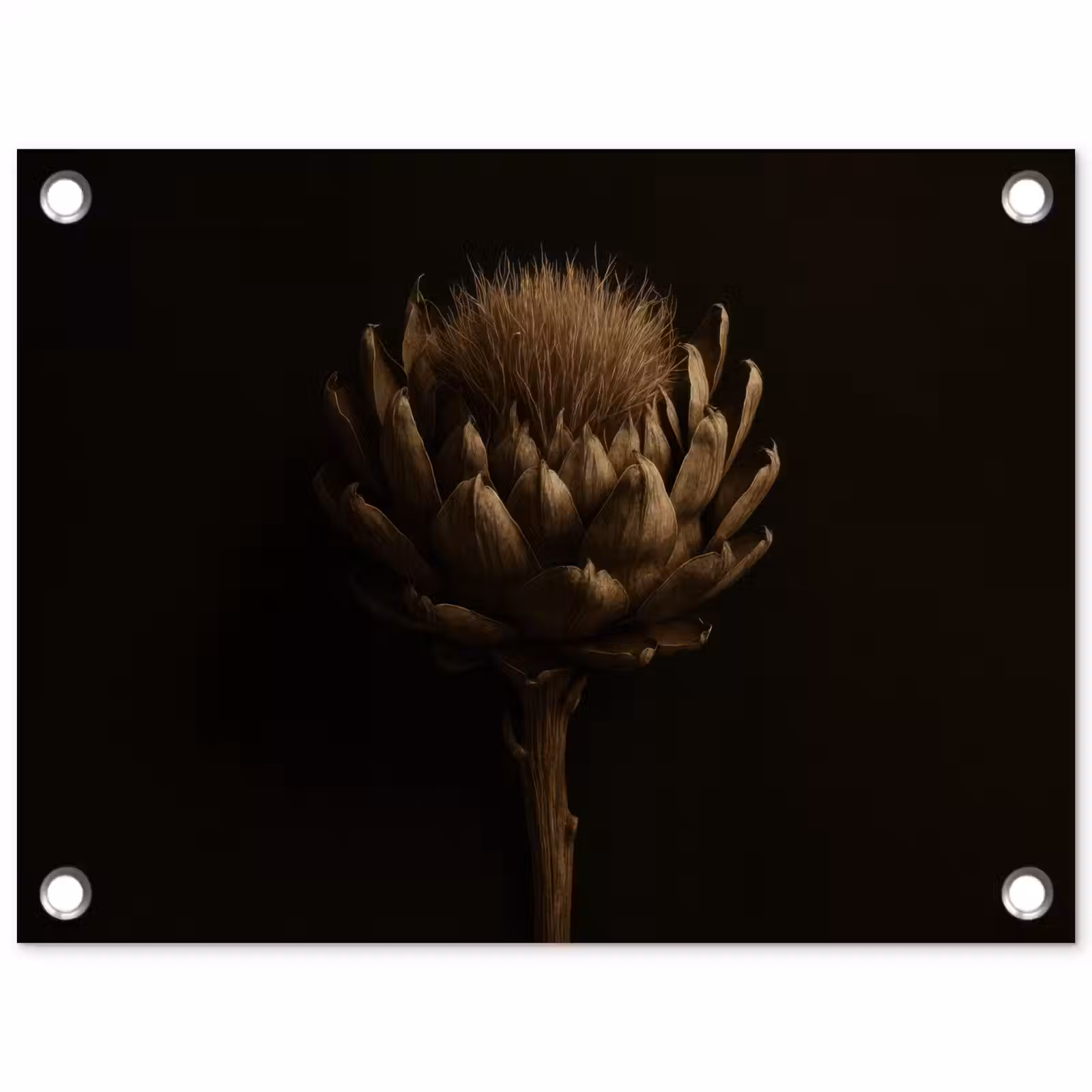 Tuinposter - Donkerbruin - Bloem - Textuur - Artisjok — 1